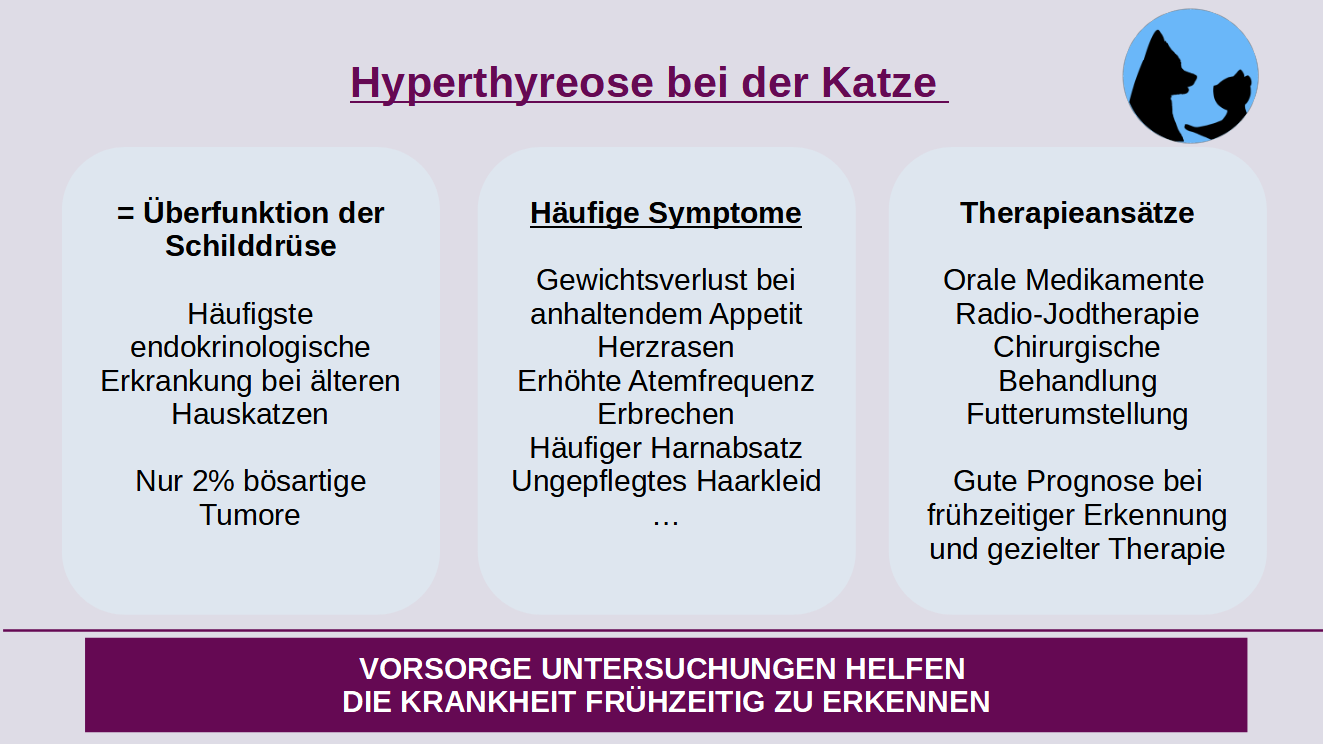 Hyperthyreose